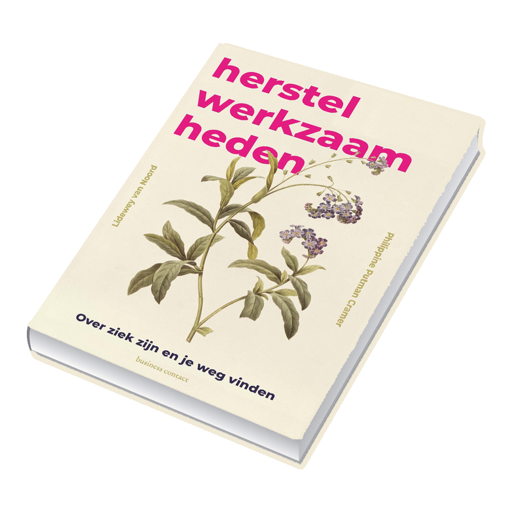 Herstelwerkzaamheden
